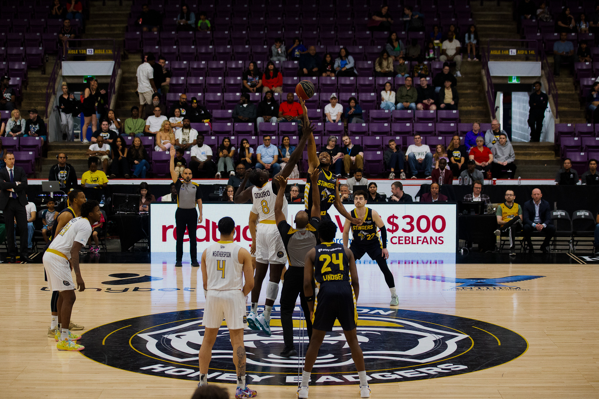 Honey Badgers jump ball against Stingers